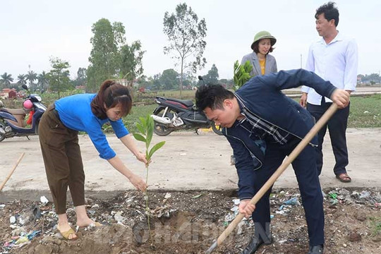 Nam Sách trồng cây phủ xanh bãi rác